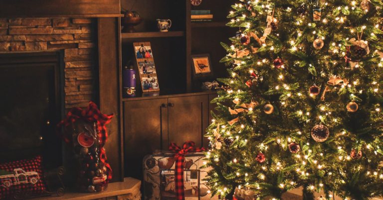 ignifuger sapin de noël naturel