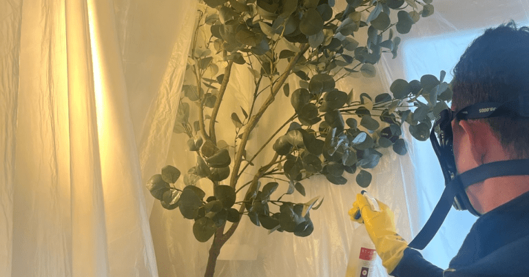 Ignifugation d'arbres artificiels (2)