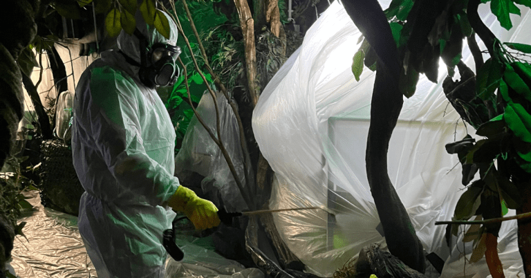 ignifugation par pulvérisation ou trempage (1)