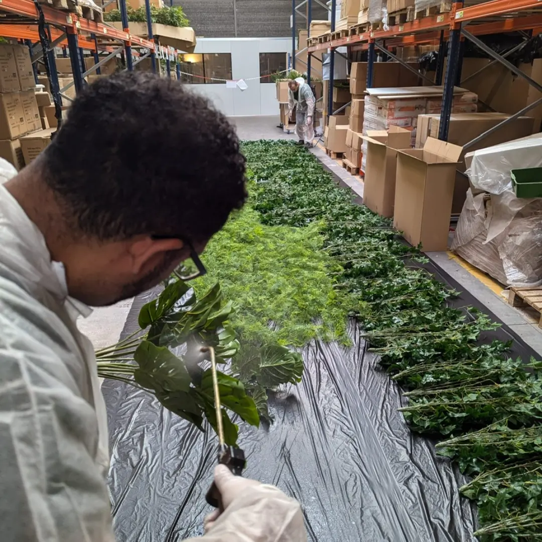 ignifugation-par-pulverisation