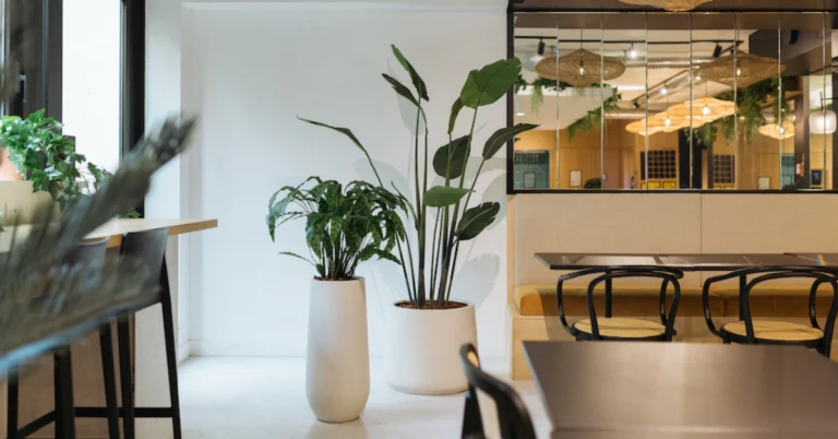 Plantes en pot dans un espace intérieur lumineux