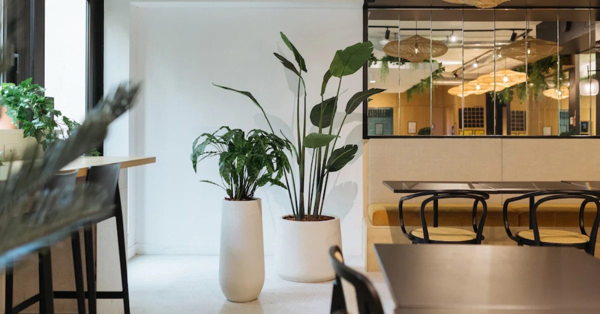 Potted plants in a bright interior space
