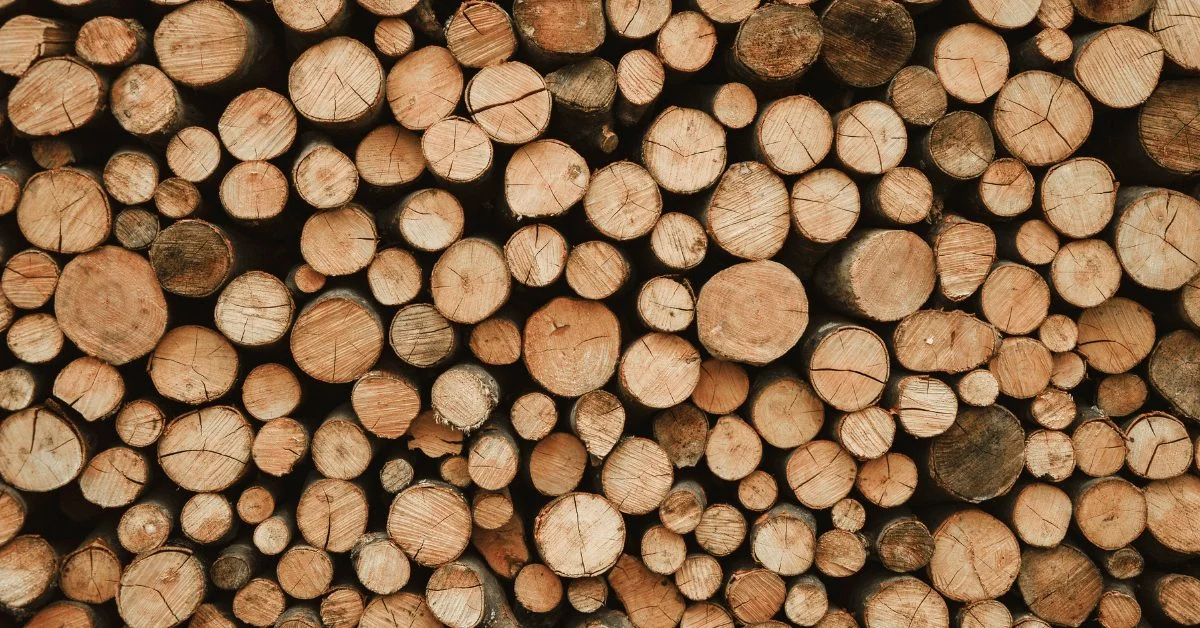 Stacked logs seen end-on